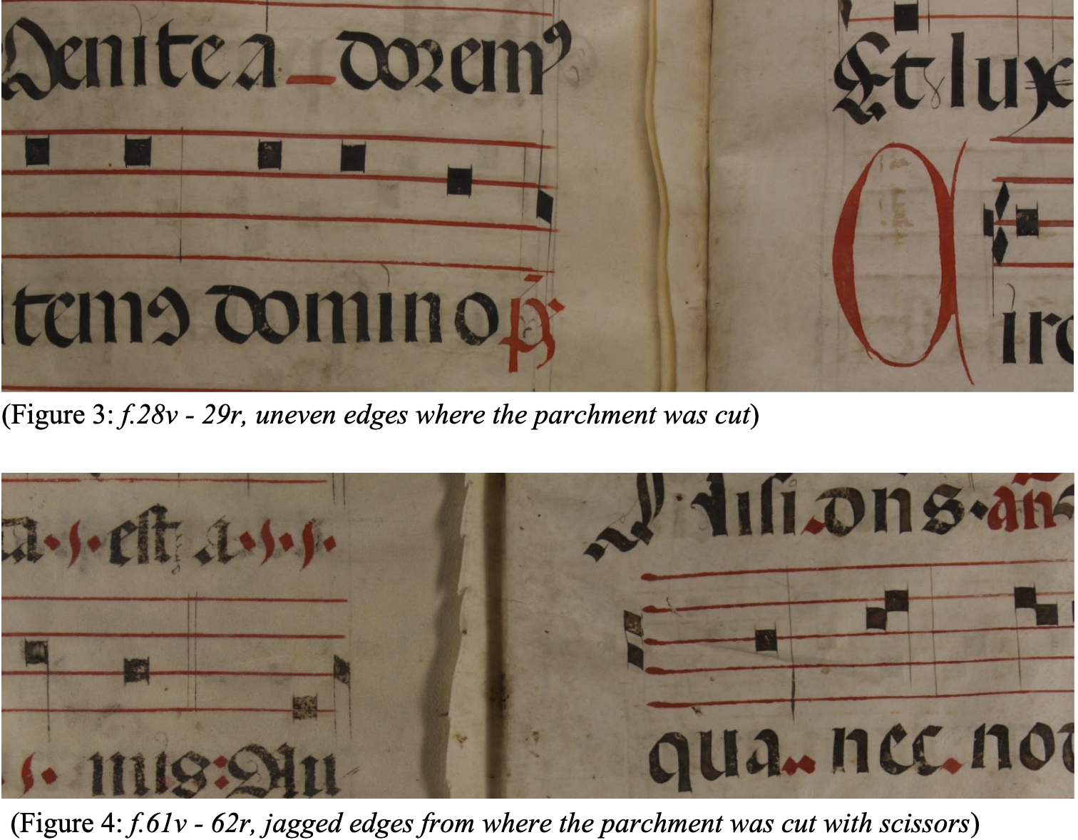 This website and essay examines Ottawa, Carleton University Library, Archives and Research Collections Ms. 1 (hereby referred to as the Carleton Antiphonary) as a medieval artefact. Lack of resources devoted to cataloguing has left many North American manuscripts hidden and unstudied, and such was the fate of the Carleton Antiphonary. This project digitizes and analyses this unique compound manuscript to increase the accessibility of digital facsimiles. Furthermore, the codicological evidence proves this artefact is worth studying as a devotional object, as it demonstrates long-standing use over the last five hundred years. The goal of this project has been twofold. First, it has been to bring this medieval codex to light by making it accessible online. Secondly, the goal has been to share the process by which others may make medieval materials accessible using open-source tools and the coding purpose made for this project. To access the website: https://carleton-antiphonary.herokuapp.com